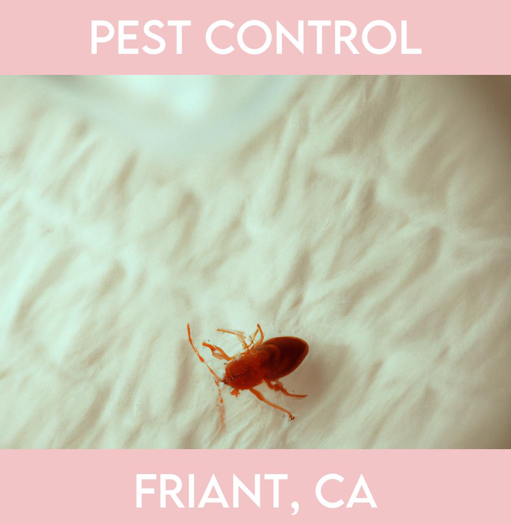 pest control in Friant California