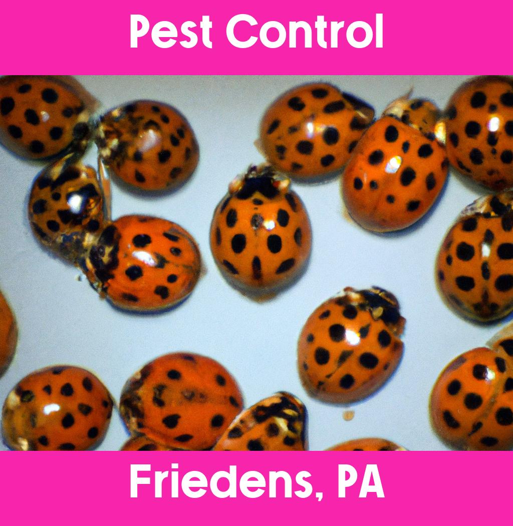 pest control in Friedens Pennsylvania