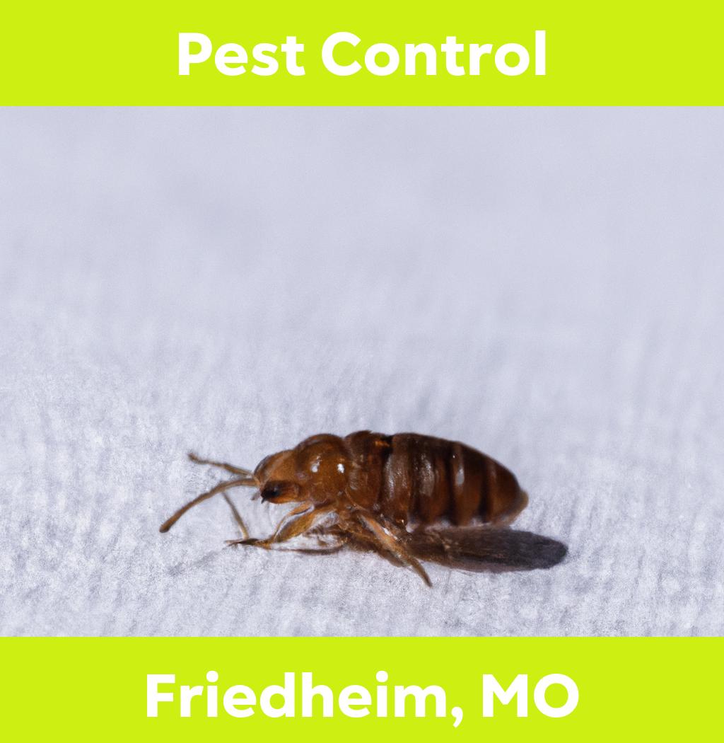 pest control in Friedheim Missouri