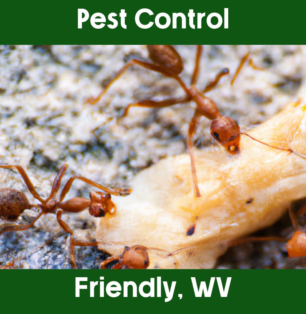 pest control in Friendly West Virginia