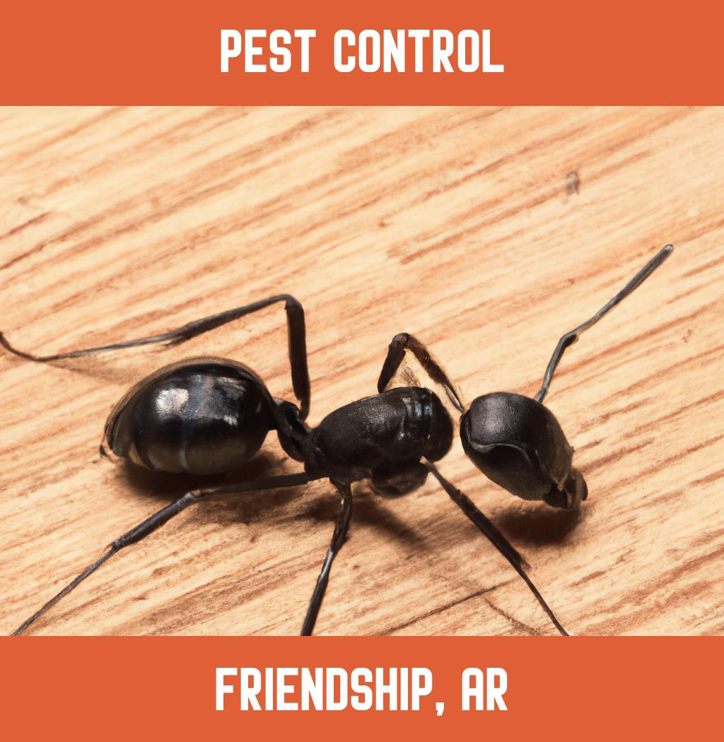 pest control in Friendship Arkansas