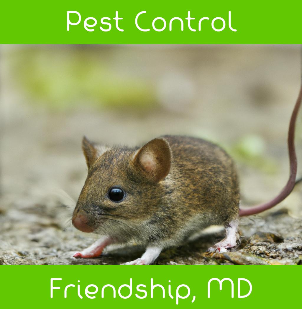 pest control in Friendship Maryland