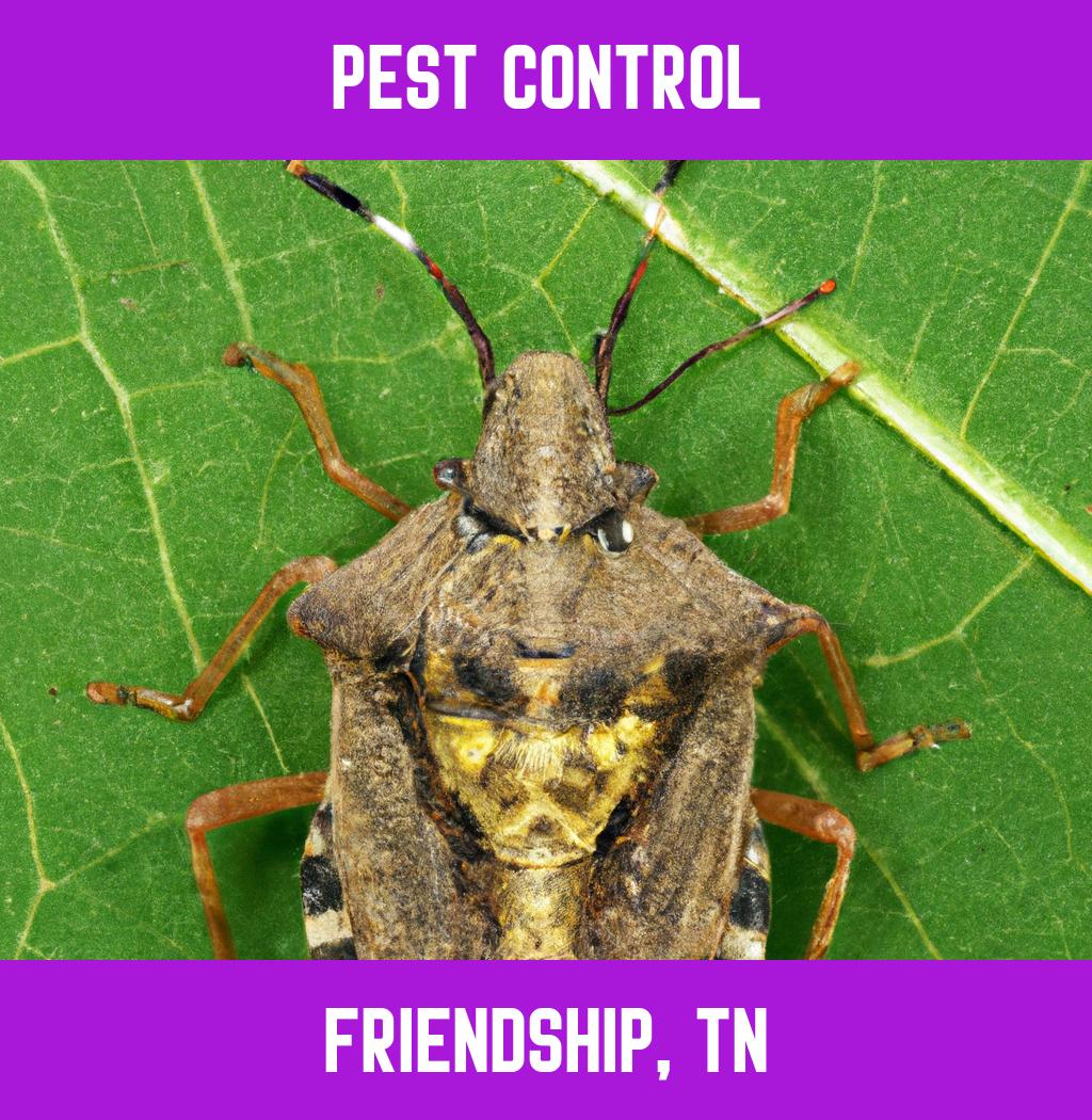 pest control in Friendship Tennessee