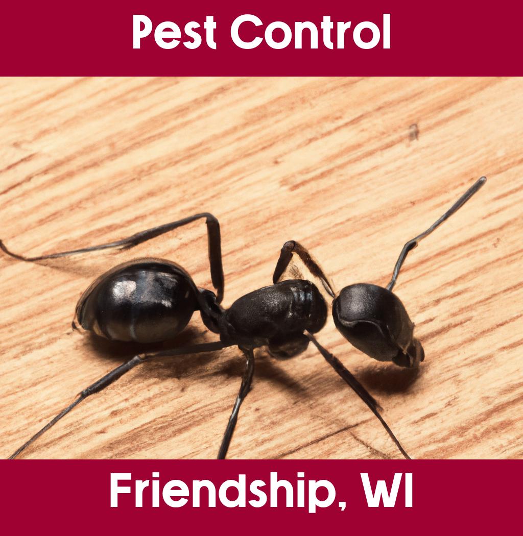 pest control in Friendship Wisconsin