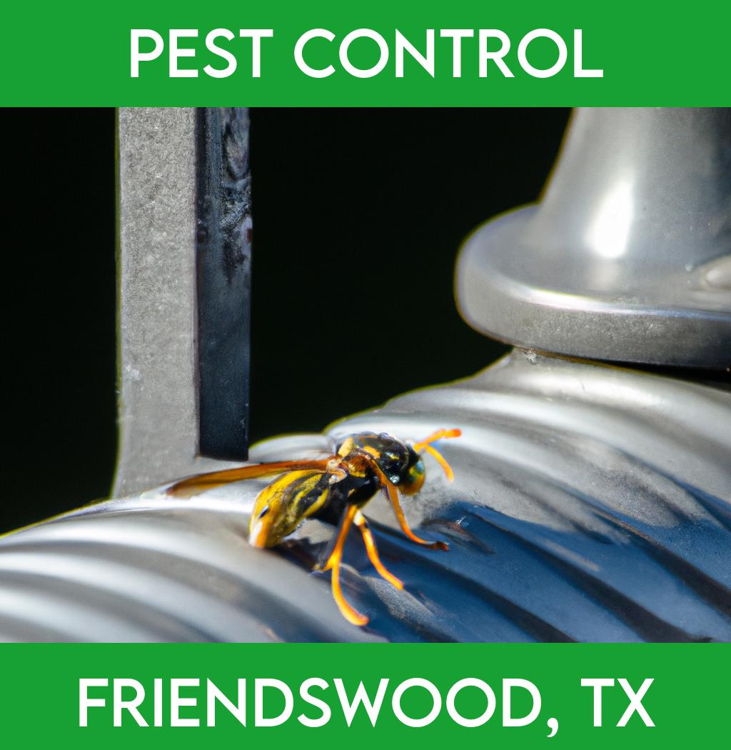 pest control in Friendswood Texas