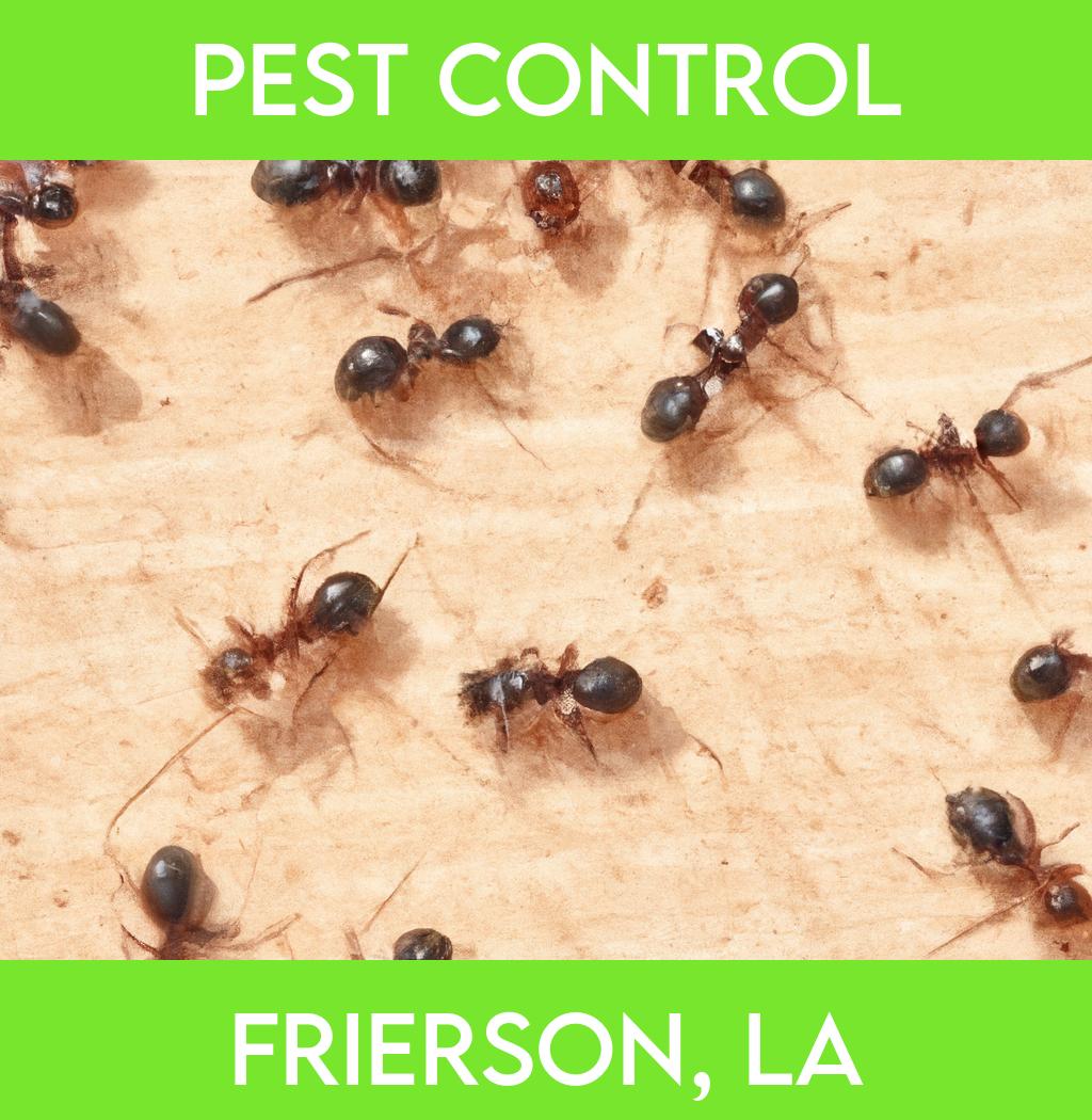 pest control in Frierson Louisiana