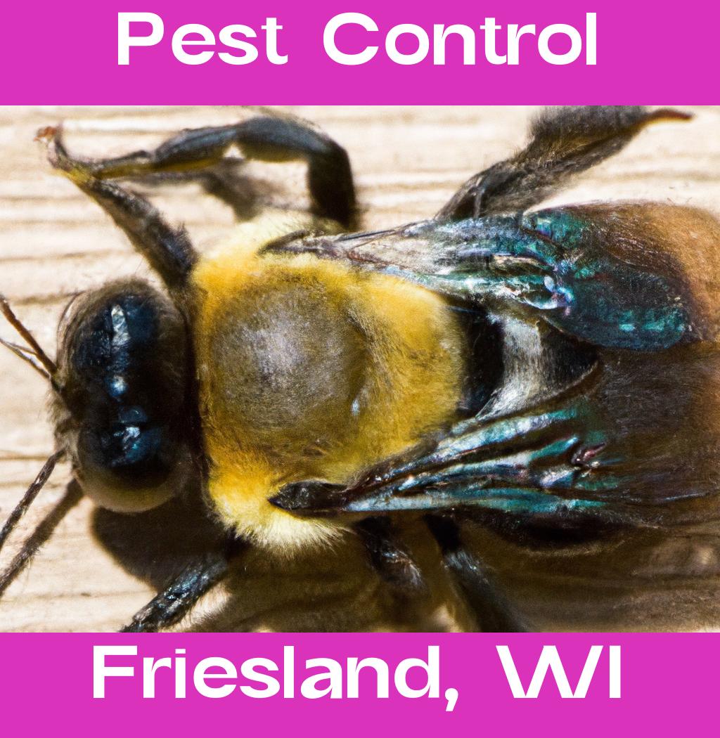 pest control in Friesland Wisconsin