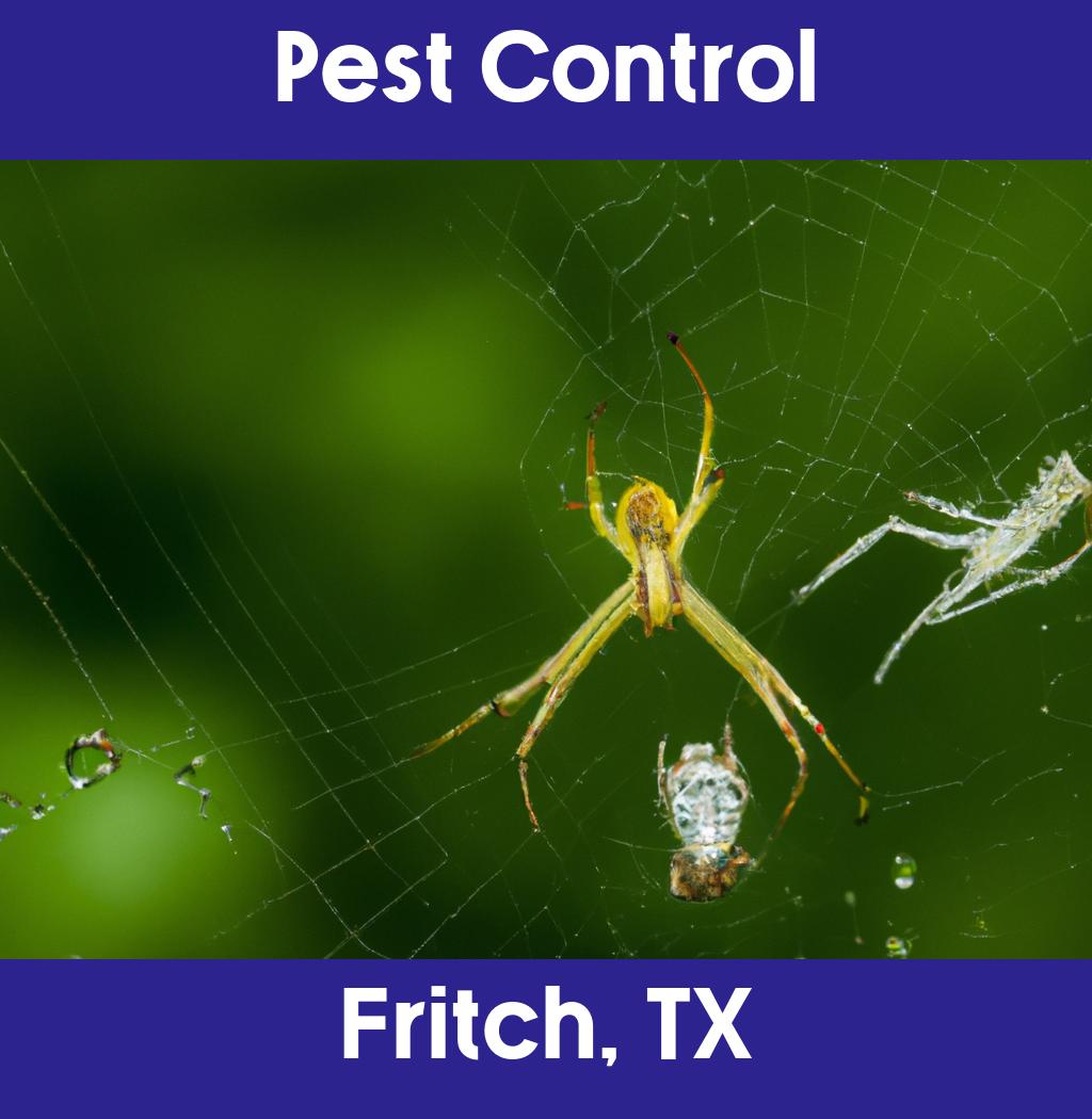 pest control in Fritch Texas