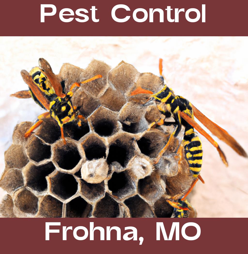 pest control in Frohna Missouri