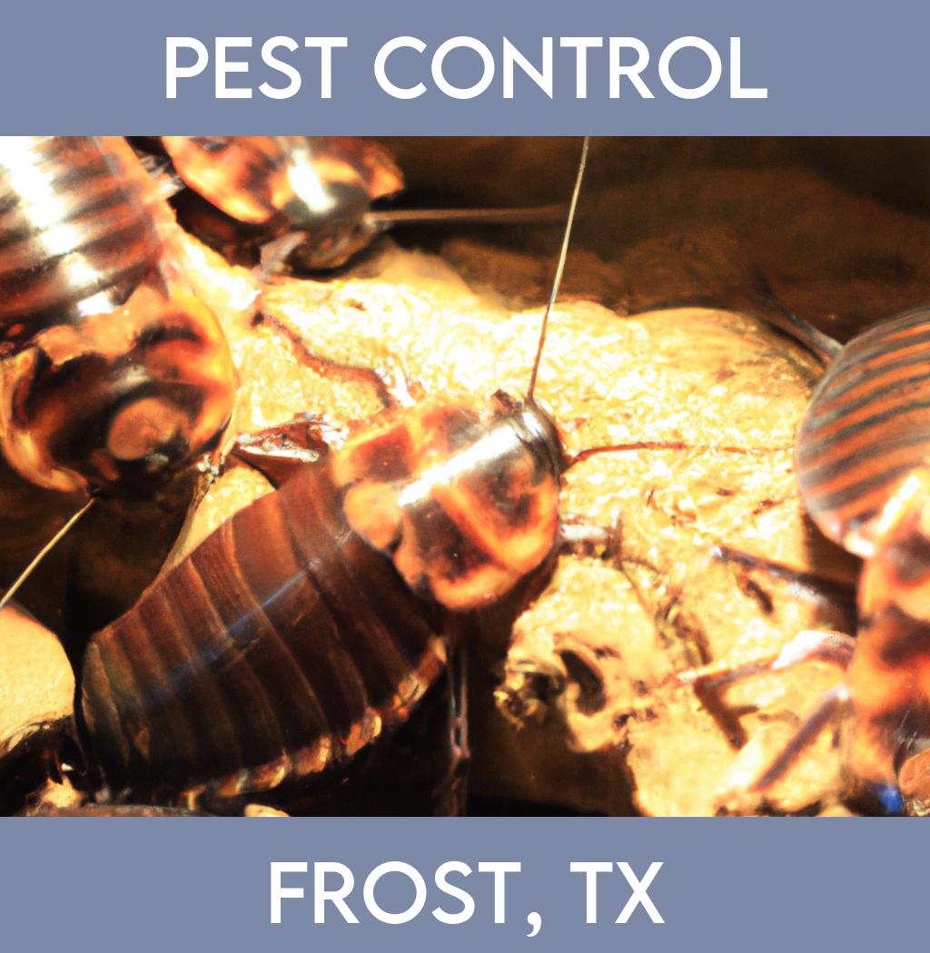 pest control in Frost Texas
