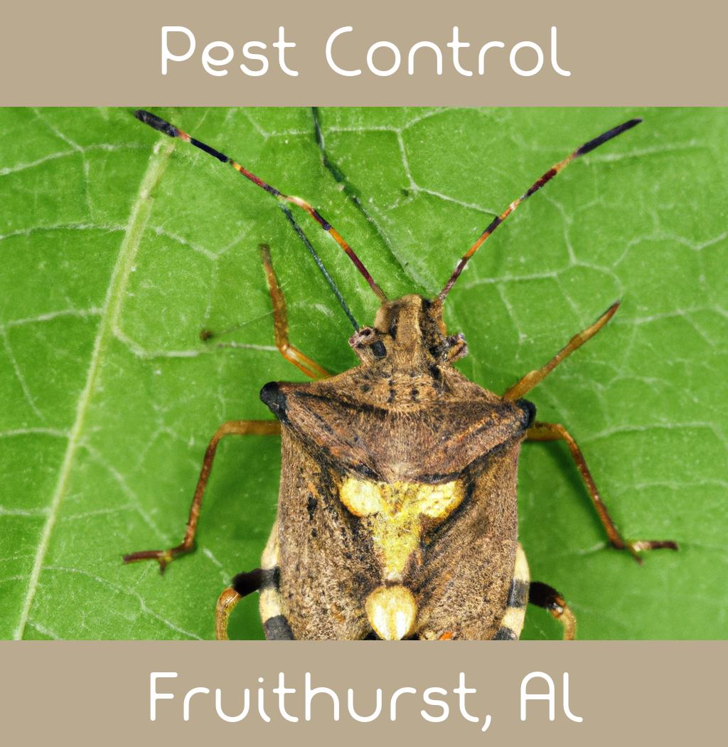 pest control in Fruithurst Alabama