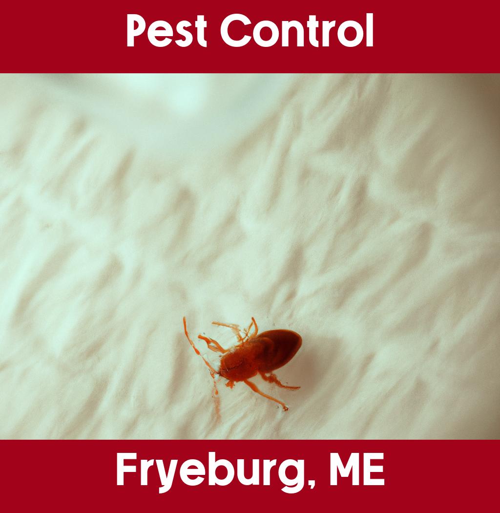 pest control in Fryeburg Maine