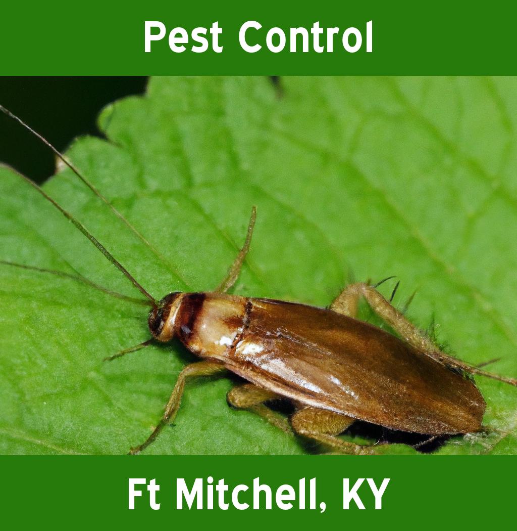pest control in Ft Mitchell Kentucky