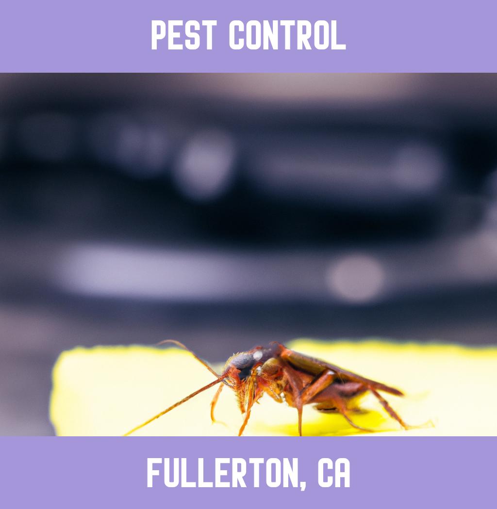 pest control in Fullerton California