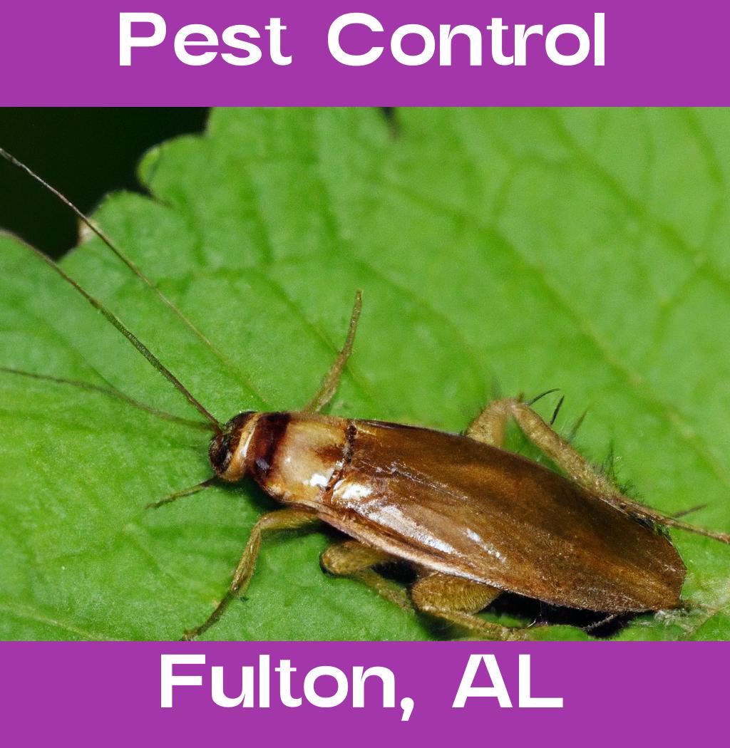 pest control in Fulton Alabama