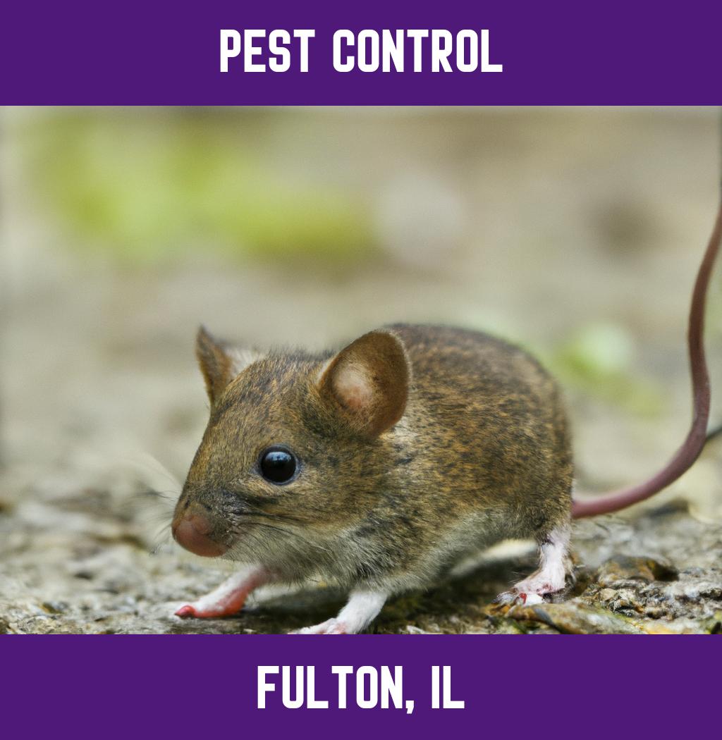 pest control in Fulton Illinois