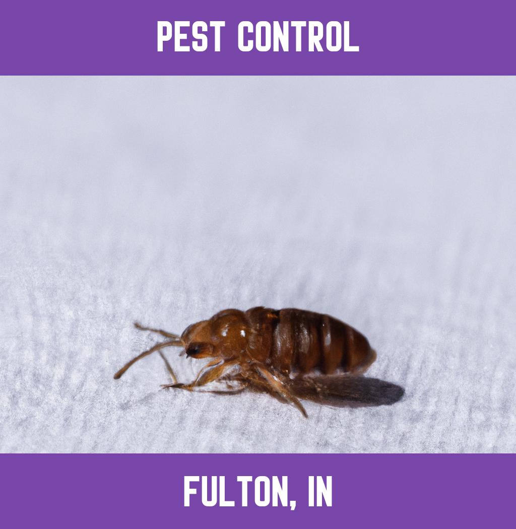 pest control in Fulton Indiana