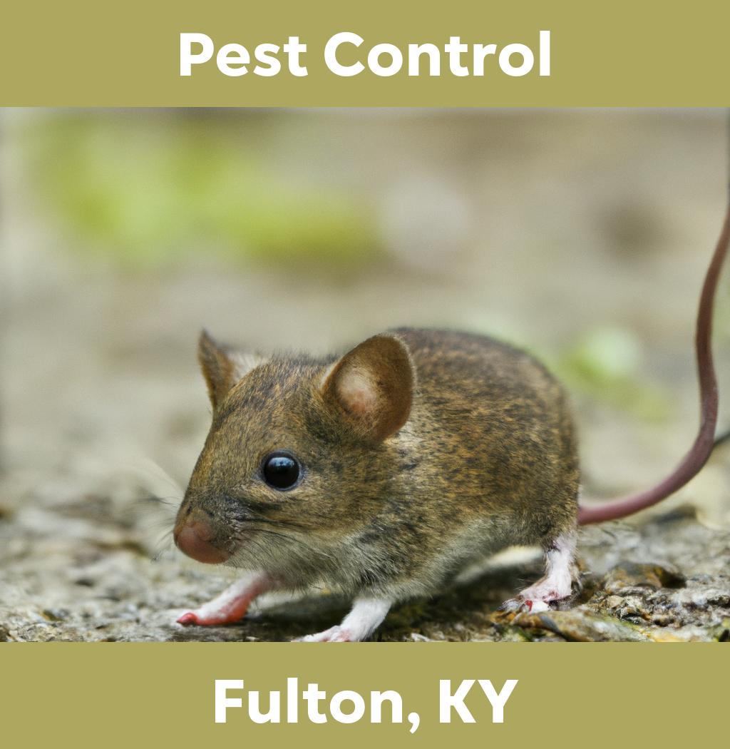 pest control in Fulton Kentucky