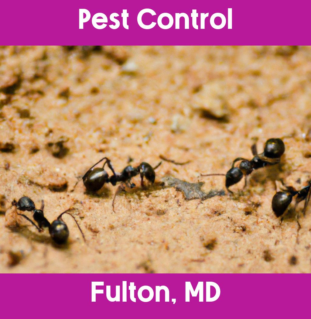 pest control in Fulton Maryland