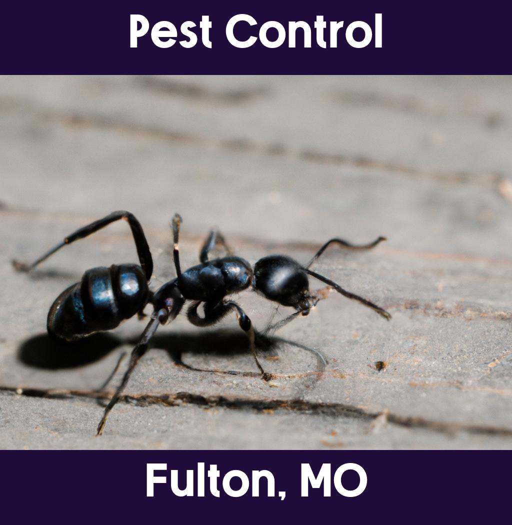 pest control in Fulton Missouri