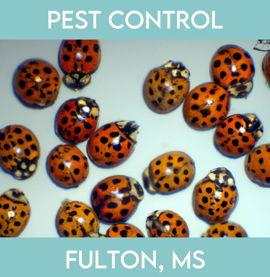 pest control in Fulton Mississippi