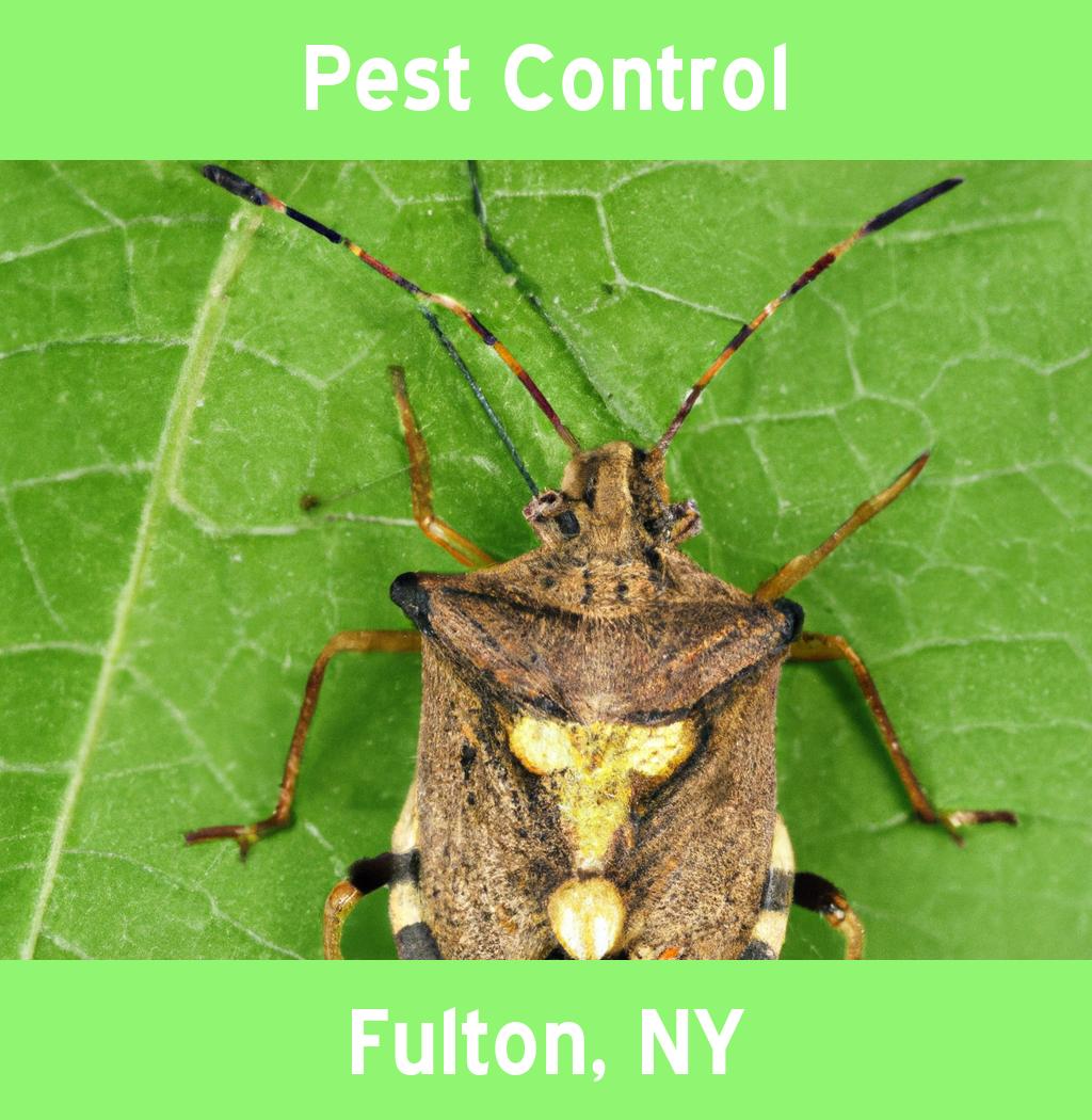 pest control in Fulton New York