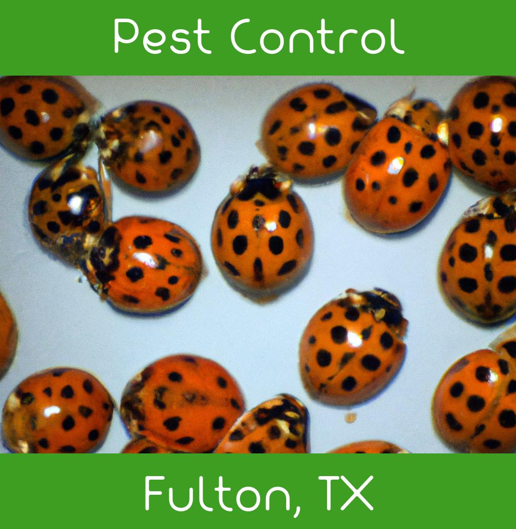 pest control in Fulton Texas