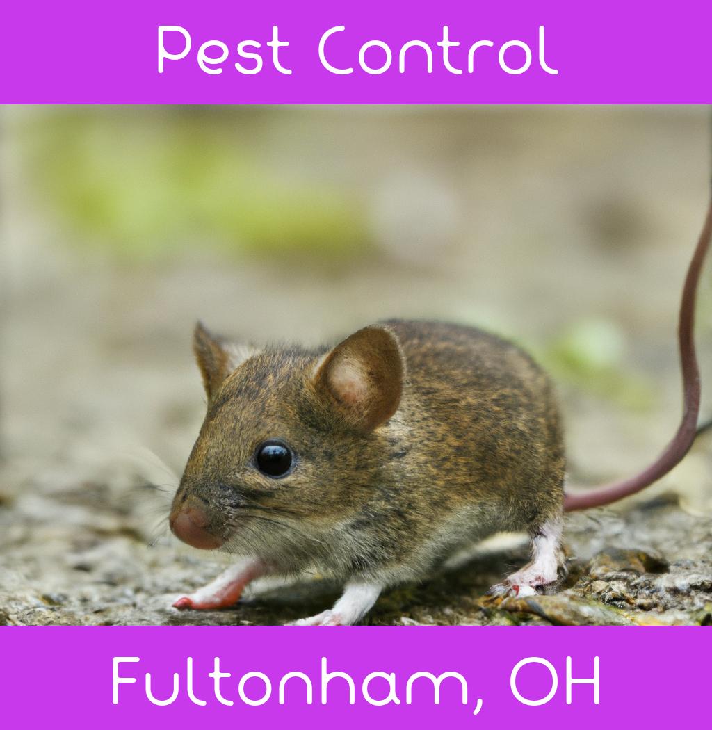 pest control in Fultonham Ohio