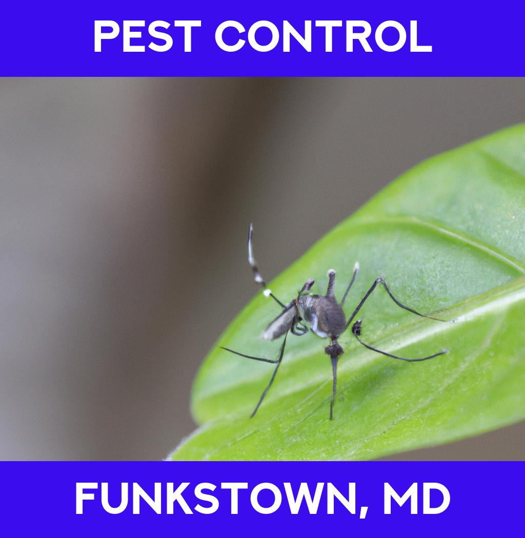 pest control in Funkstown Maryland