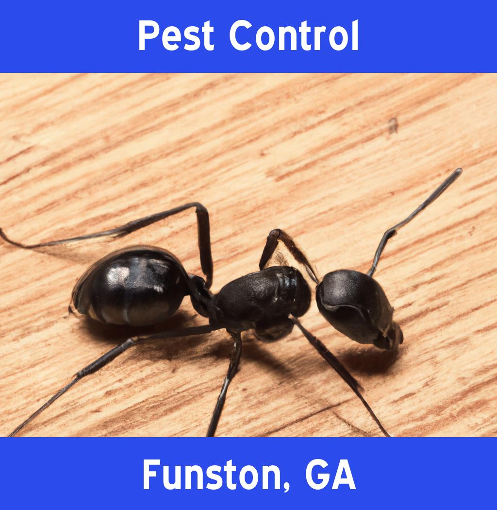 pest control in Funston Georgia