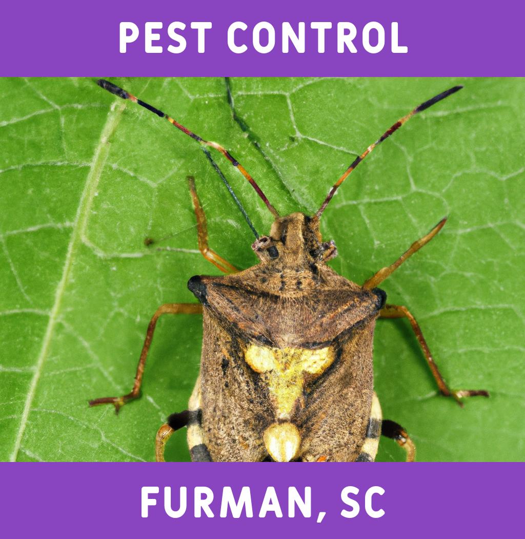 pest control in Furman South Carolina