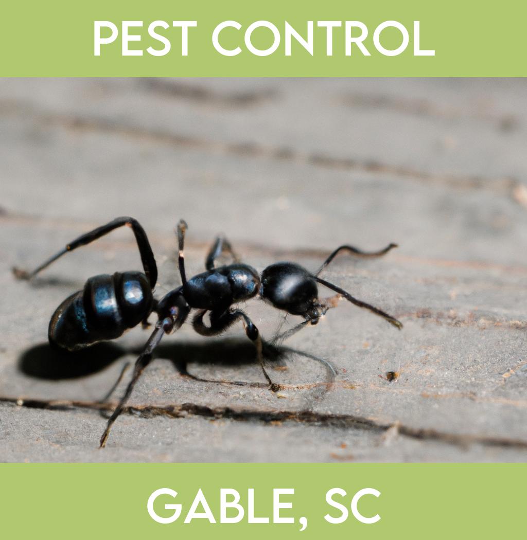 pest control in Gable South Carolina