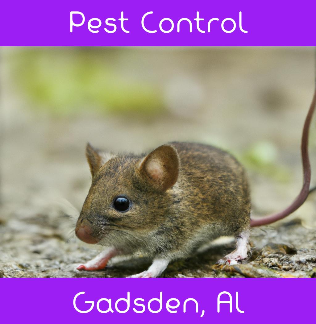 pest control in Gadsden Alabama