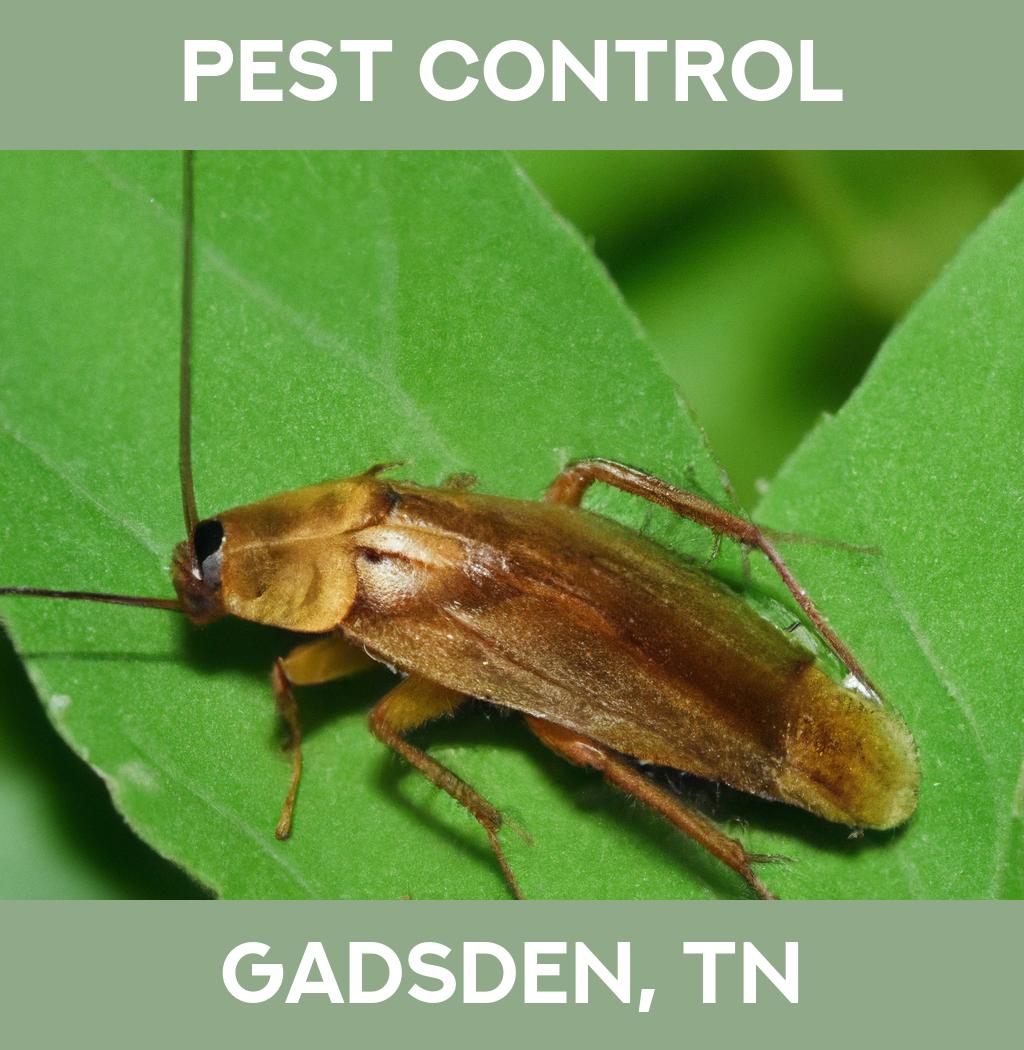 pest control in Gadsden Tennessee