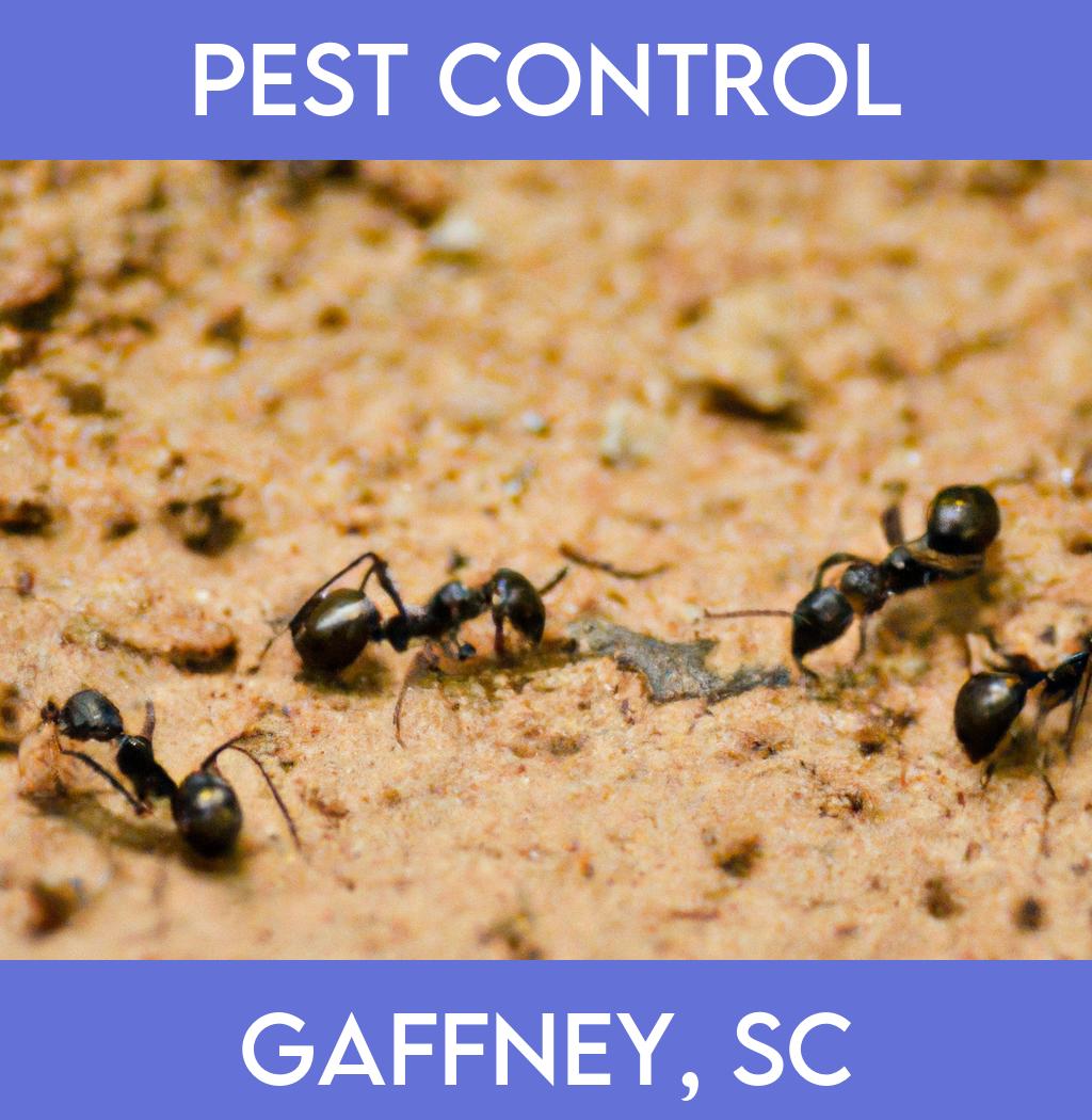 pest control in Gaffney South Carolina