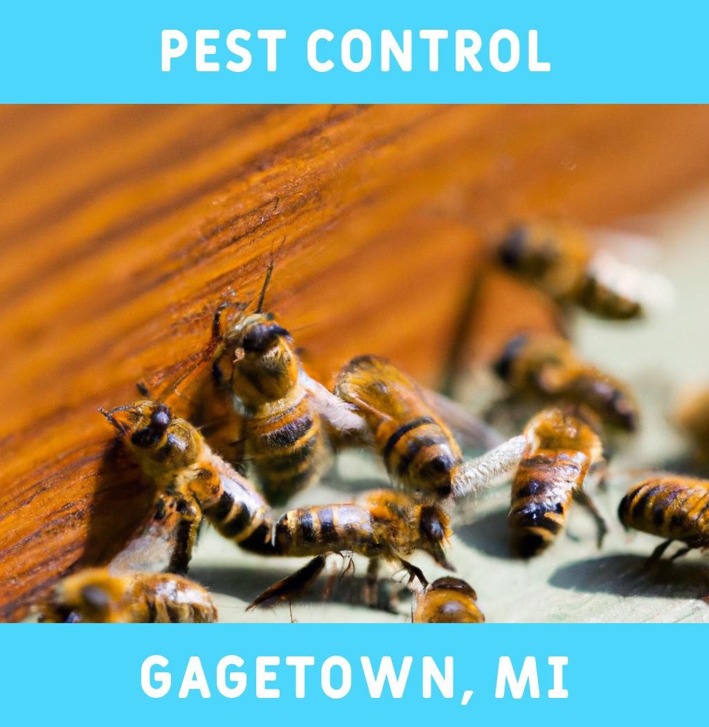 pest control in Gagetown Michigan