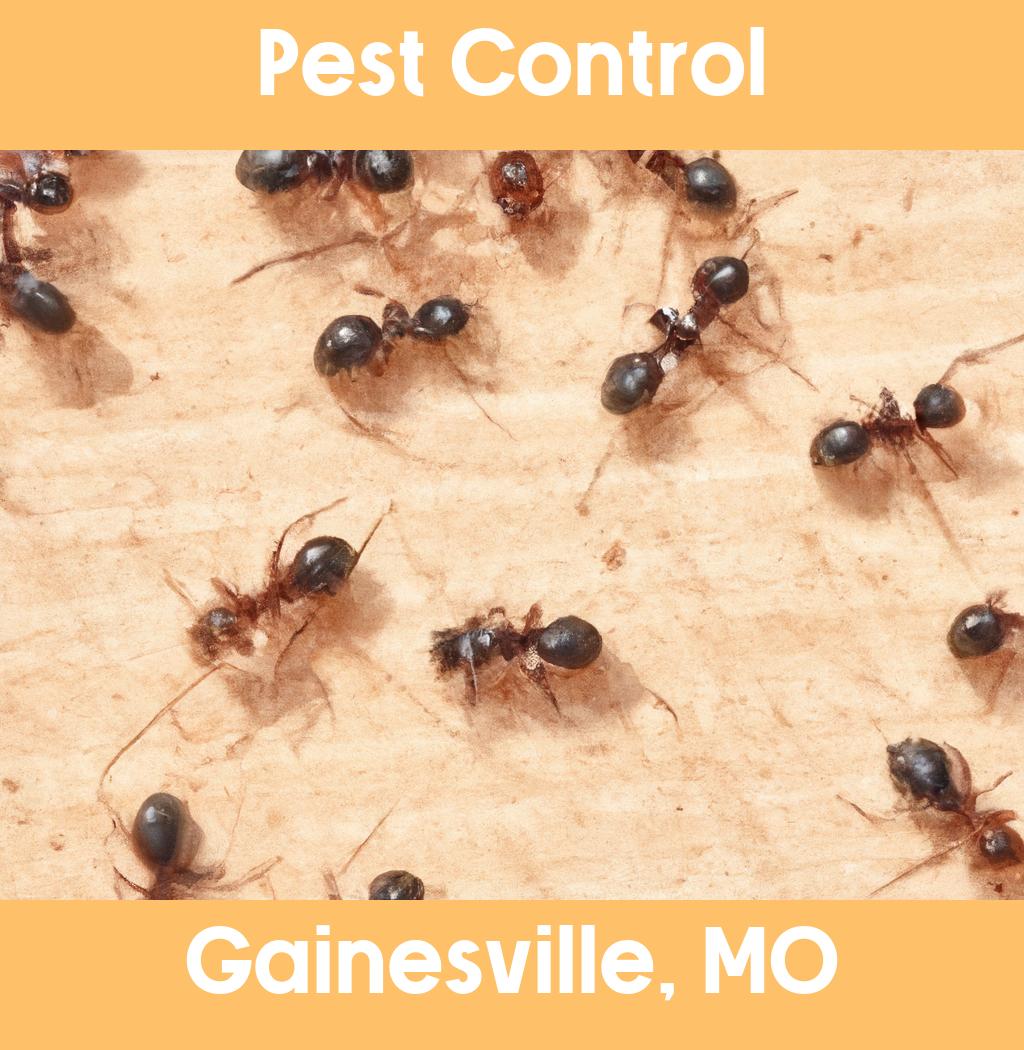 pest control in Gainesville Missouri