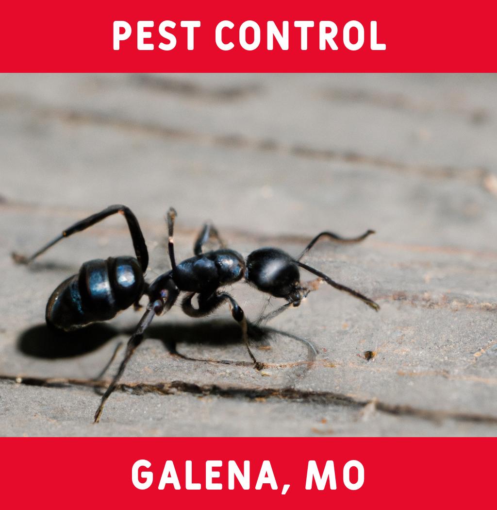 pest control in Galena Missouri