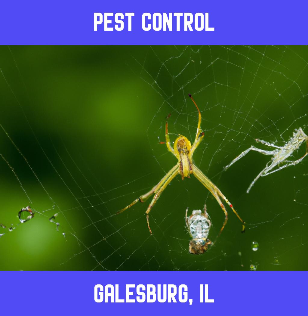 pest control in Galesburg Illinois