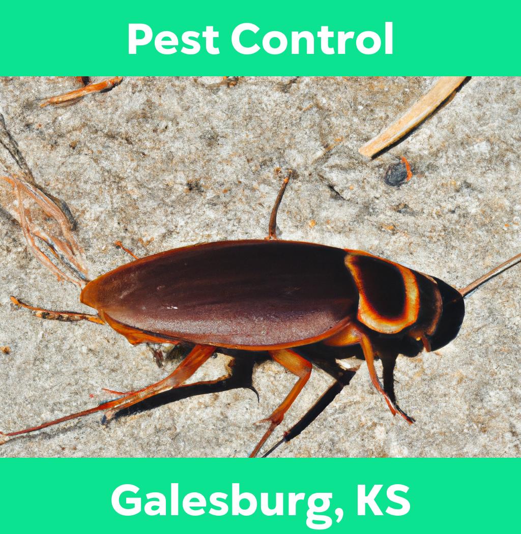 pest control in Galesburg Kansas