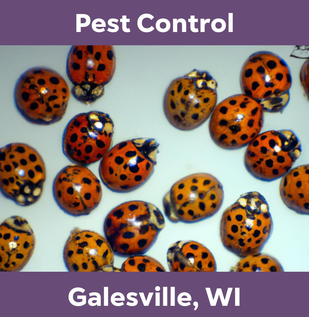 pest control in Galesville Wisconsin