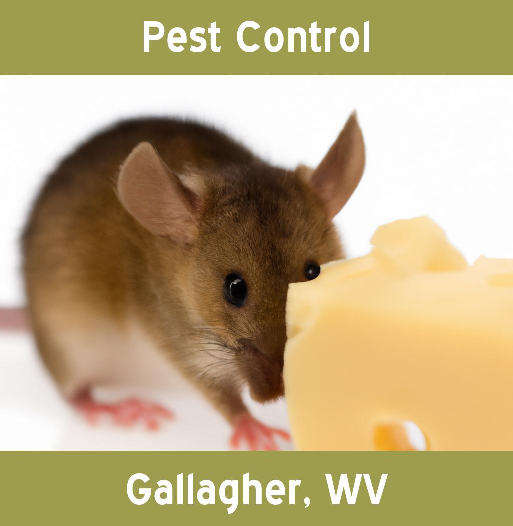pest control in Gallagher West Virginia