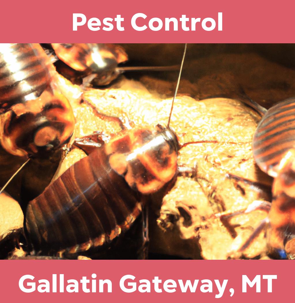 pest control in Gallatin Gateway Montana