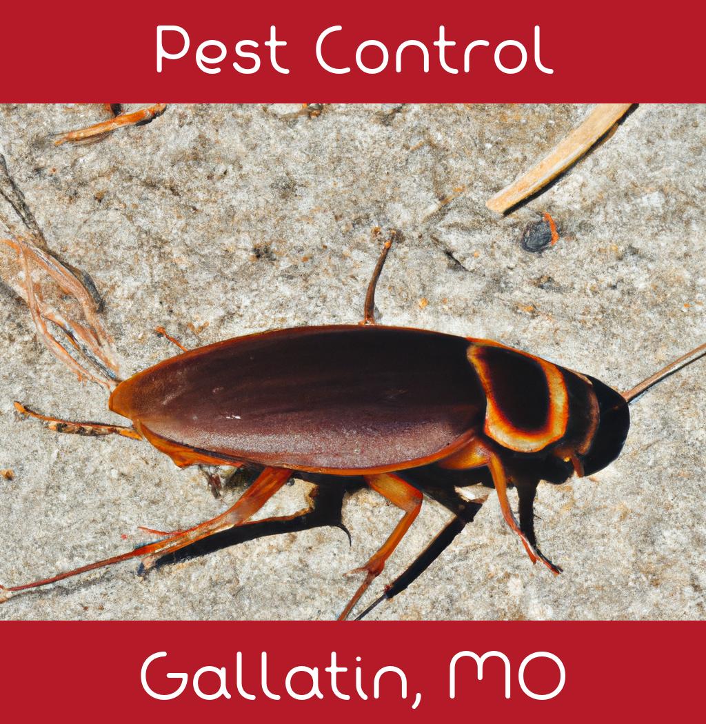 pest control in Gallatin Missouri