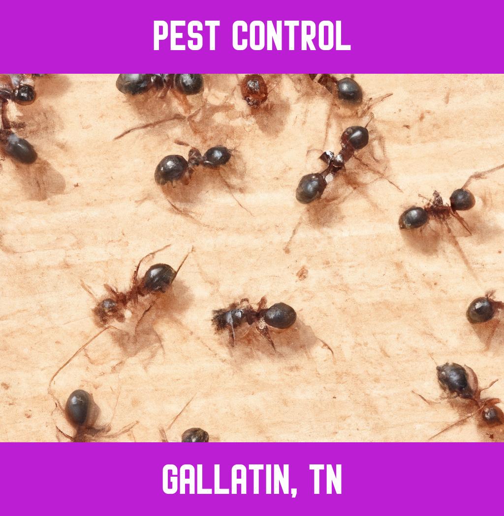pest control in Gallatin Tennessee