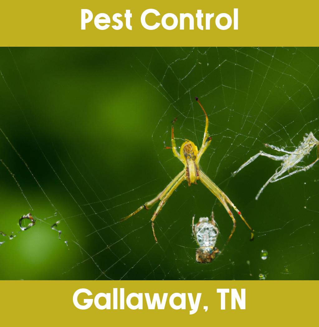 pest control in Gallaway Tennessee