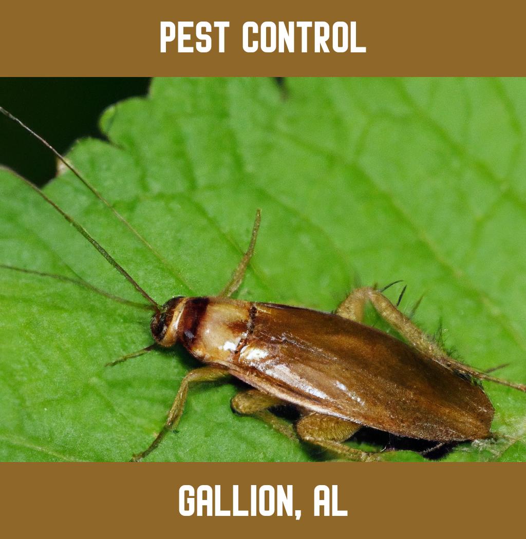 pest control in Gallion Alabama