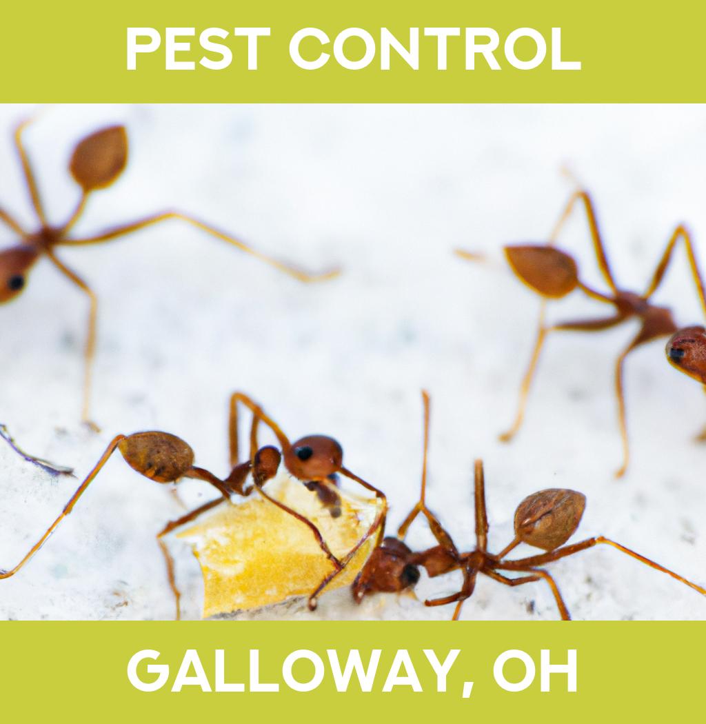 pest control in Galloway Ohio