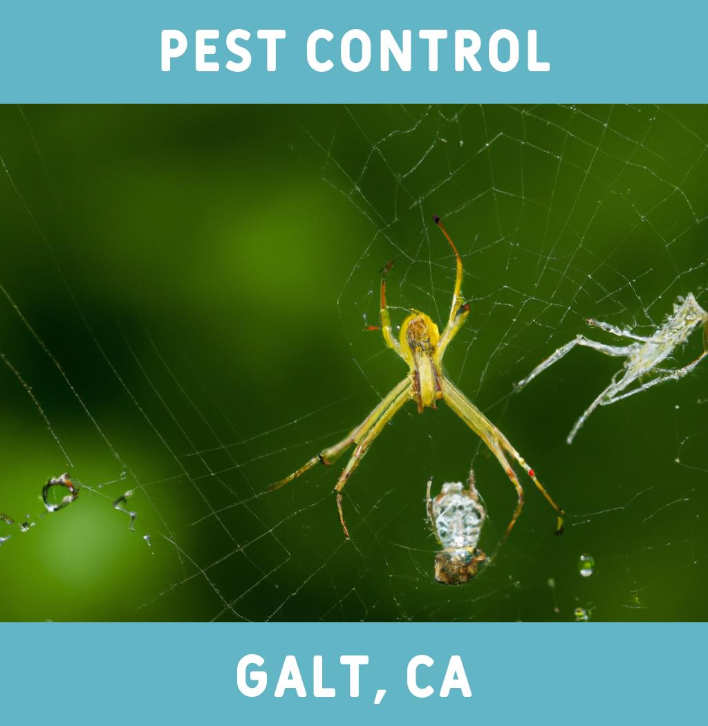 pest control in Galt California