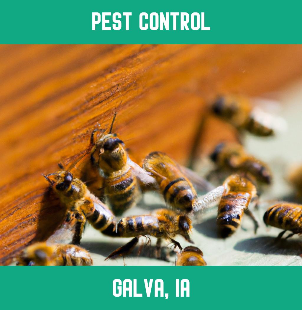 pest control in Galva Iowa